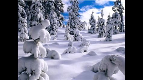 اجمل الصور الشتاء