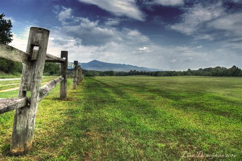 Landscape Photography Of Grass Field With Gray Wooden Fence Under Clear