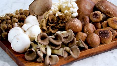 Mushroom Varieties 101 - YouTube