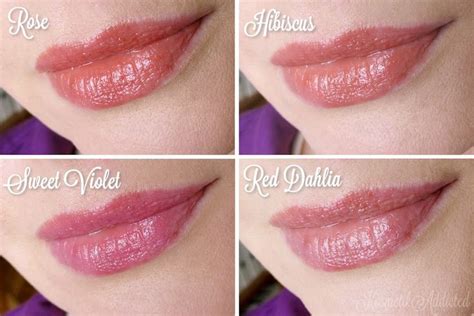Burt 2527s Bees Tinted Lip Balm Swatches Rose Hibiscus Sweet Violet Red Dahlia  Tinted Lip