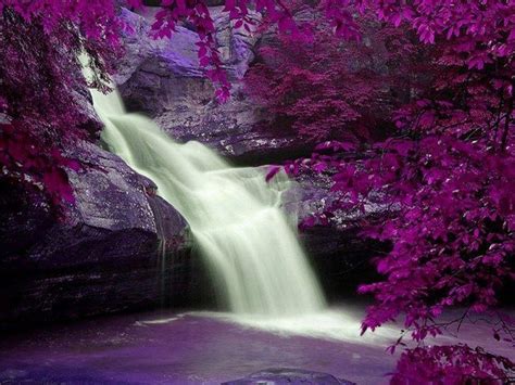 Waterfall In Purple Purple Pinterest
