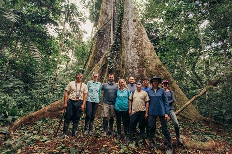 Amazon Rainforest Tours And Trips Kapawi Ecolodge