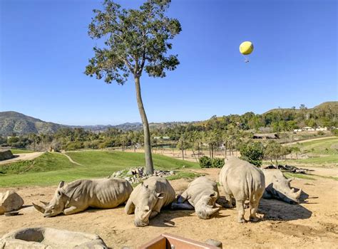 Top 5 San Diego Safari Park Hours