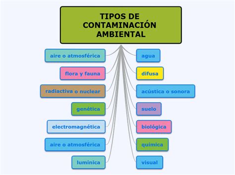 Tipos De Contaminacion Ambiental Mind Map