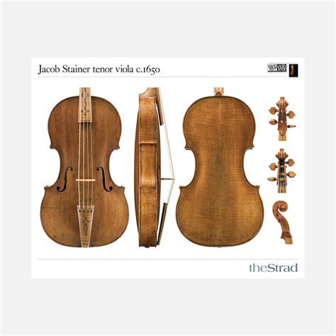 Jacob Stainer Tenor Viola C 1650 Poster The Strad Shop