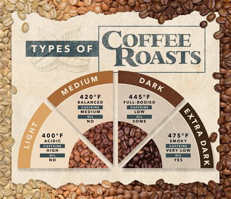 Roast Profiles And Flavor Development Unveiling The Science Of Coffee