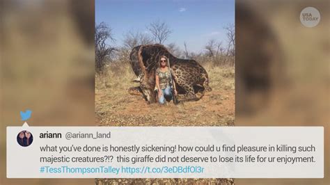 American Woman Sparks Outrage After Posing With Rare Giraffe She Shot In South Africa Cbs19tv