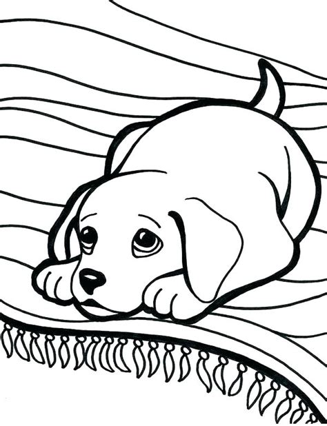 Printable Labrador Coloring Pages Coloring Pages