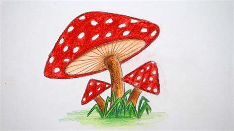 How To Draw Mushroom Mushroom Drawing Step By Step Easy Drawing For