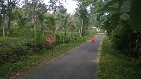 Valuable Land For Sale In Panadura