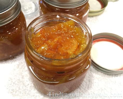 Orange Marmalade: #Recipe - Finding Our Way Now