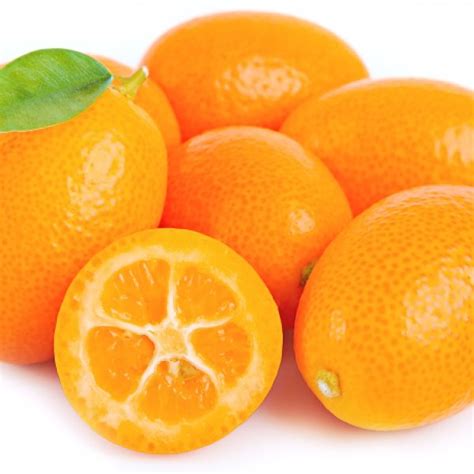 Kumquat Assortment Special Fruit