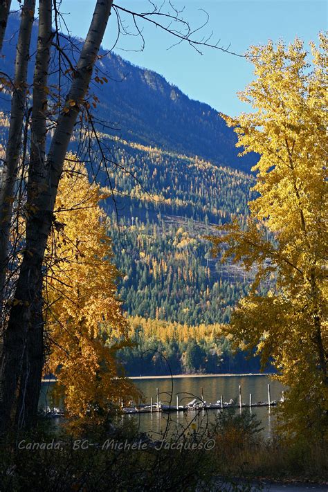 The Trees Are Changing Colors In The Fall Near A Lake With Boats On It