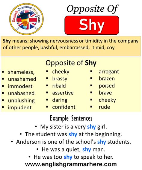 Opposite Of Shy Antonyms Of Shy Meaning And Example Sentences Antonym