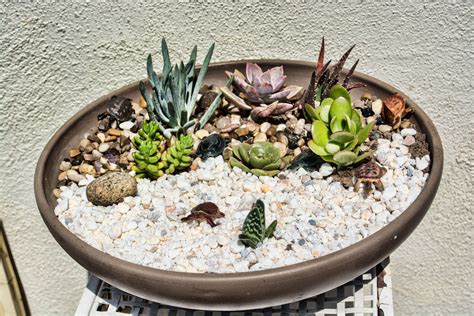 Making A Succulent Garden Bowl 1st Diy Post Be Gentle • Rdiy