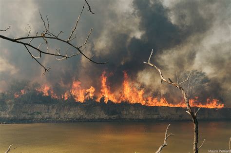 Reporte Oficial Por Los Incendios En Argentina Son Siete Las
