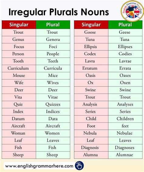 Irregular Plurals Noun In English English Grammar Plurals Irregular