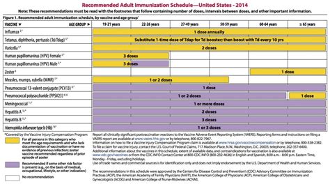 Adult Immunization Schedule United States 2014 Updated American