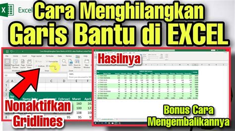 Cara Menghilangkan Garis Bantu Di EXCEL Atau Gridlines Untuk Pemula