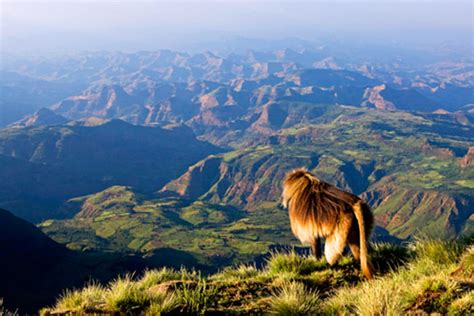 Trekking At The Highest Peak Of Ethiopia With The Dramatic Landscape Of