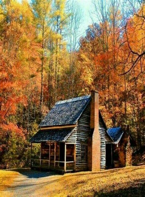Pin By Egdirdle2 On Autumn Harvest Cabins In The Woods Little