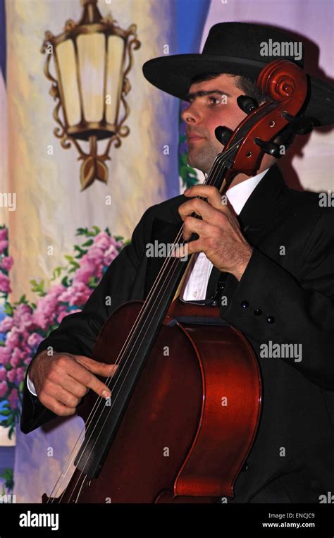 Mature Man In Formal Dinner Costume Playing Cello Stock Photo Alamy