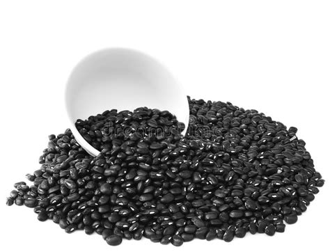 Black Beans Stock Image Image Of Healthy Plant Nutrition 23102569
