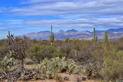 Saguaro national park is a beautiful park that sandwiches tuscon, arizona and is divided into west and east. No Bad Days RVing: Saguaro National Park