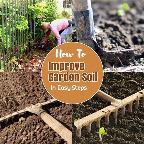 Try Out These Preparing Garden Soil Tips Right Now You Can Find Out