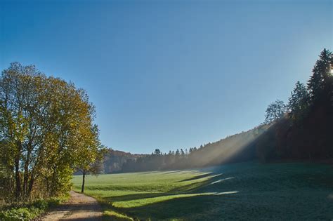 Ein Kalter Morgen Foto And Bild Sonne Natur Herbst Bilder Auf