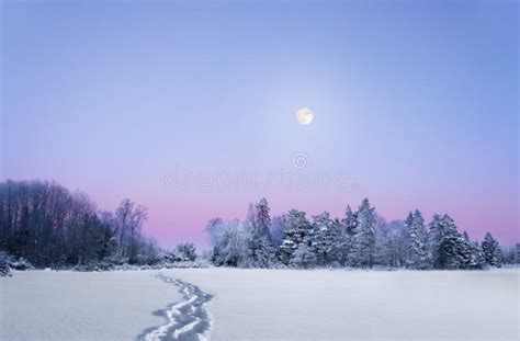 Evening Winter Landscape With Full Moon Stock Photo Image Of Moon