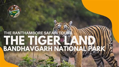 The Tiger Land Bandhavgarh National Park Madhya Pradesh The