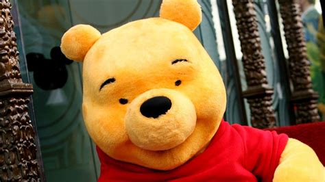 Winnie The Pooh Banned From Polish Playground After Being Labeled A