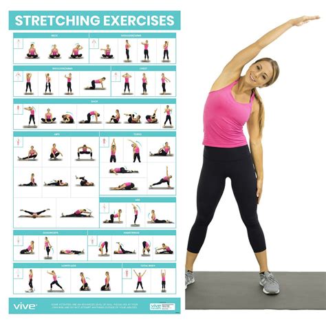 Stretching Workout Poster 52 Exercises Vive Health
