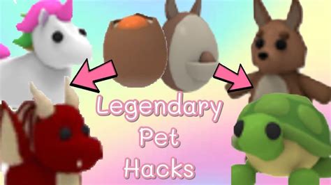 How To Get Legendary Pet In Adopt Me Every Time Orange