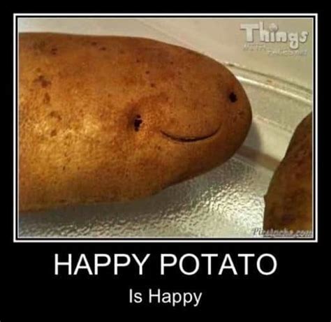 30 Potato Memes That Are Guaranteed To Make Your Day
