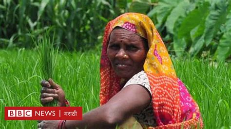 महिला शेतकऱ्यांसाठीही फेमिनिस्ट चळवळ उभी राहायला हवी ब्लॉग Bbc News मराठी