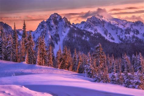 Winter Sunset Mt Rainier National Park Washington By Candace Dyar
