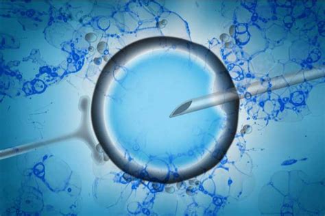 All You Need To Know About Assisted Reproductive Technology