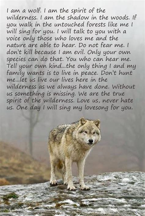 Wolf Spirit Quotes