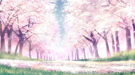Sakura Desktop Wallpaper Anime Hd Imagesee