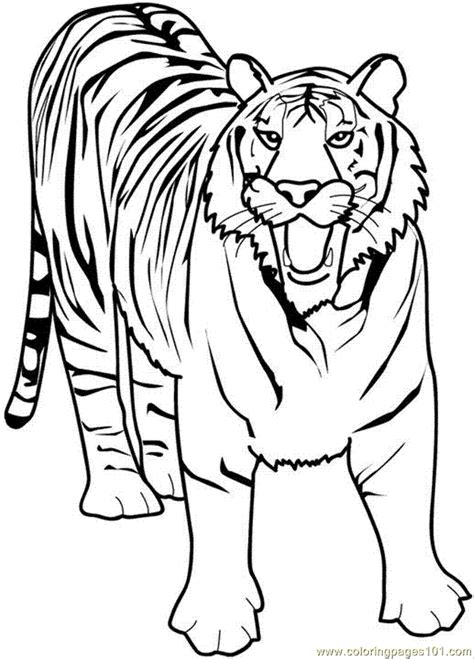 Coloring Pages 21 Tiger Animals Tiger Free Printable Coloring