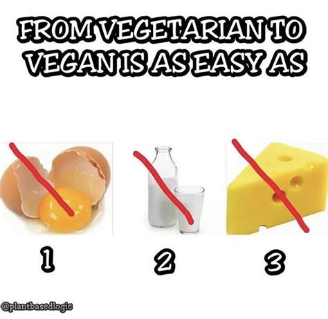 The Meme That Convinced Me That Vegetarianism Was Pointless I Was Only