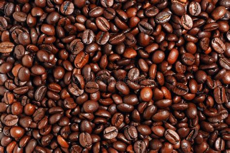 Coffee Grains Stock Photo Image Of Breakfast Colon 14400636