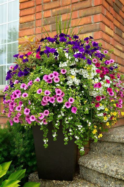 20 Beautiful Summer Container Garden Flower Ideas Garden Containers