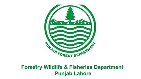 Forestry Wildlife And Fisheries Department Punjab Lahore Jobs 2020 Latest