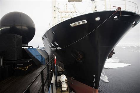 Japanese Whaling Ship Strikes Back Collides Sea Shepherd Fleet