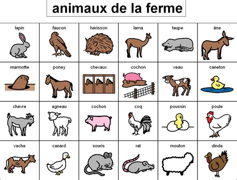 On Apprend Le Français Vocabulaire Des Animaux