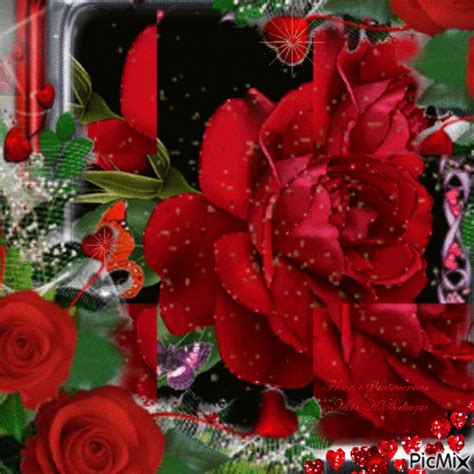 Rosas Vermelhas  Animado Grátis Picmix