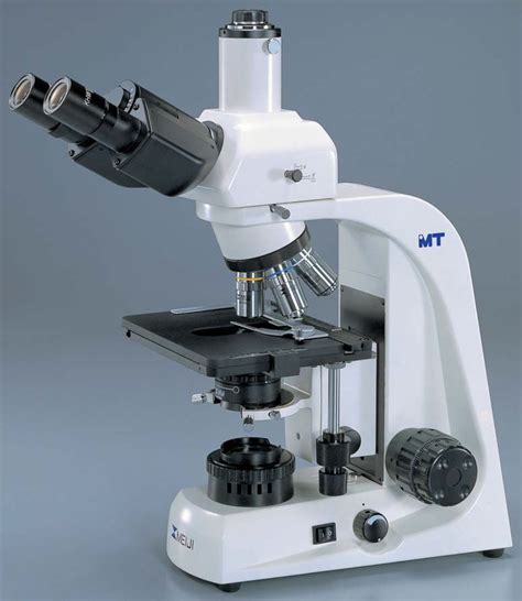 Microscopio Ptico Mt El Series Meiji Techno America De